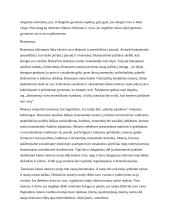 Moterų teisės Antikos, Viduramžių ir Renesanso laikotarpiais Europoje lyginamoji analizė 10 puslapis