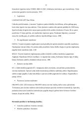 Verslo planas - siuvimo įmonė 12 puslapis
