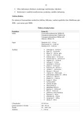 Verslo planas - siuvimo įmonė 13 puslapis