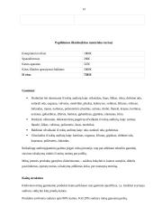 Verslo planas - siuvimo įmonė 14 puslapis