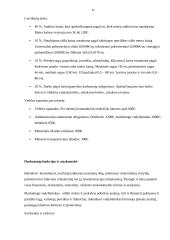 Verslo planas - siuvimo įmonė 15 puslapis