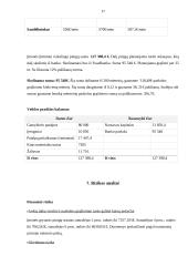 Verslo planas - siuvimo įmonė 17 puslapis