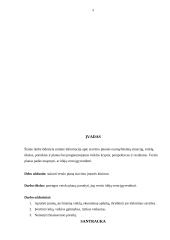 Verslo planas - siuvimo įmonė 3 puslapis