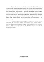 Verslo planas - siuvimo įmonė 4 puslapis