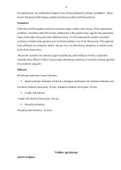 Verslo planas - siuvimo įmonė 8 puslapis