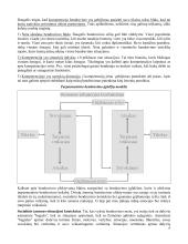 Bendravimo psichologija - dalyko konspektas 15 puslapis