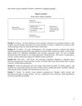 Bendravimo psichologija - dalyko konspektas 19 puslapis