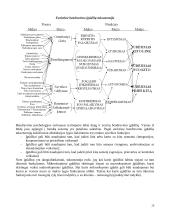 Bendravimo psichologija - dalyko konspektas 20 puslapis