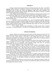 Artūro Šopenhauerio, Frydricho Nyčės, Sigmundo Freudo filosofinės pažiūros 11 puslapis