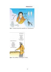 Artūro Šopenhauerio, Frydricho Nyčės, Sigmundo Freudo filosofinės pažiūros 14 puslapis