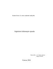 Atgimimo laikotarpio spauda 5 puslapis
