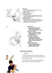 Alkūnės sąnario mobilumo didinimas 7 puslapis