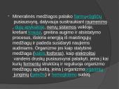 Vandens ir mineralinių medžiagų reikšmė organizmui 14 puslapis