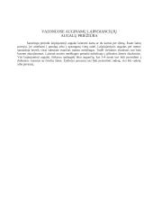 Augalai konteineriuose 7 puslapis
