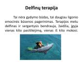 Savarankiškas darbas „Delfinų terapija“ 2 puslapis
