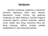 Savarankiškas darbas „Delfinų terapija“ 13 puslapis