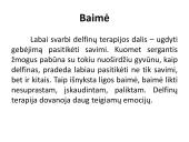 Savarankiškas darbas „Delfinų terapija“ 14 puslapis