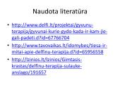 Savarankiškas darbas „Delfinų terapija“ 17 puslapis