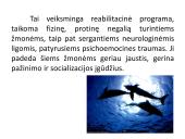 Savarankiškas darbas „Delfinų terapija“ 3 puslapis