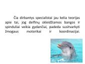 Savarankiškas darbas „Delfinų terapija“ 5 puslapis