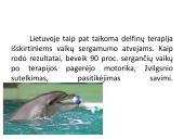 Savarankiškas darbas „Delfinų terapija“ 6 puslapis