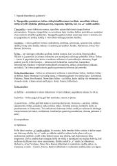 Kompiuterinių leidybos sistemų kolokviumo temos 3 puslapis