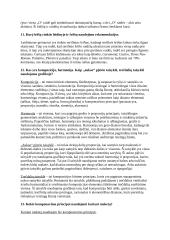 Kompiuterinių leidybos sistemų kolokviumo temos 6 puslapis