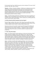 Kompiuterinių leidybos sistemų kolokviumo temos 8 puslapis