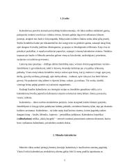 Baltų kalendoriaus ypatybės ir raida 3 puslapis