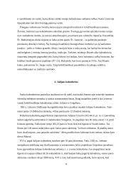 Baltų kalendoriaus ypatybės ir raida 8 puslapis