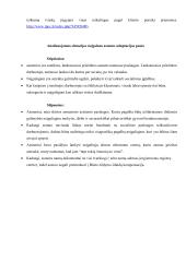 Neįgalaus asmens socialinio tyrimo aprašas 7 puslapis