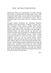 Skydas – kaip pasaulio tvarkos metafora