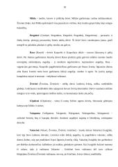 Baltų kultūros geografinė orientacija. Mitologija regioniniu aspektu 18 puslapis