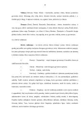 Baltų kultūros geografinė orientacija. Mitologija regioniniu aspektu 19 puslapis