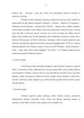 Baltų kultūros geografinė orientacija. Mitologija regioniniu aspektu 5 puslapis