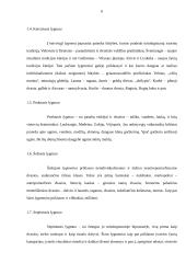Baltų kultūros geografinė orientacija. Mitologija regioniniu aspektu 6 puslapis