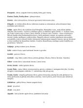 Baltų tikėjimas 12 puslapis