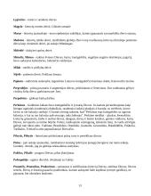 Baltų tikėjimas 14 puslapis