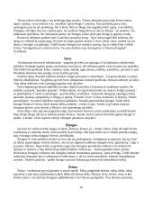 Baltų tikėjimas 19 puslapis