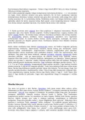 Apie J. S. Bachą 2 puslapis