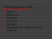 Apie vertybes 5 puslapis