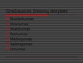 Apie vertybes 6 puslapis