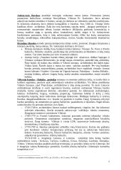 Barokas Lietuvoje. Barokinis Vilnius 2 puslapis