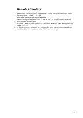 Barokas Lietuvoje. Barokinis Vilnius 15 puslapis