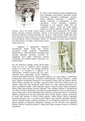 Barokas Lietuvoje. Barokinis Vilnius 7 puslapis