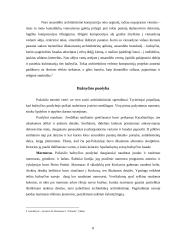 Baroko architektūros triumfas Lietuvoje 8 puslapis