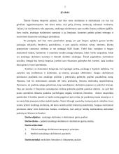 Atsakingo skolinimo ir skolinimosi gairių analizė 2 puslapis