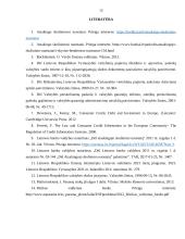 Atsakingo skolinimo ir skolinimosi gairių analizė 12 puslapis