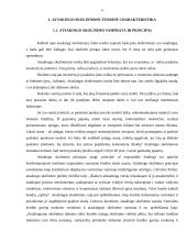 Atsakingo skolinimo ir skolinimosi gairių analizė 3 puslapis