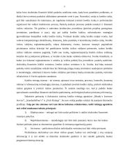 Atsakingo skolinimo ir skolinimosi gairių analizė 8 puslapis